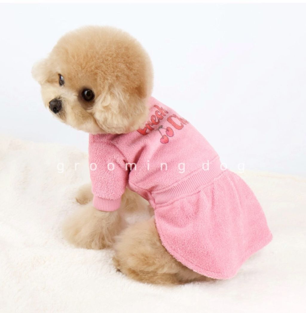 LINE_ALBUM_Grooming dog_251207_77