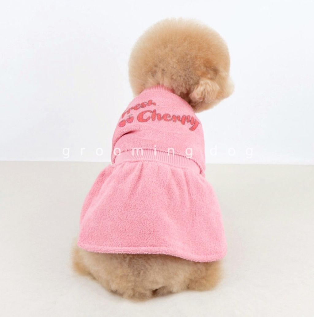 LINE_ALBUM_Grooming dog_251207_79