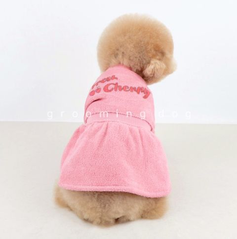 LINE_ALBUM_Grooming dog_251207_79