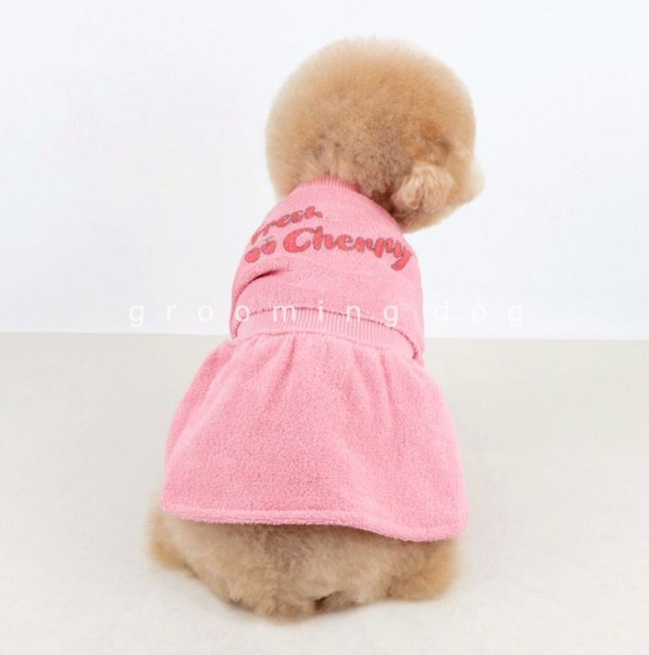 LINE_ALBUM_Grooming dog_251207_79
