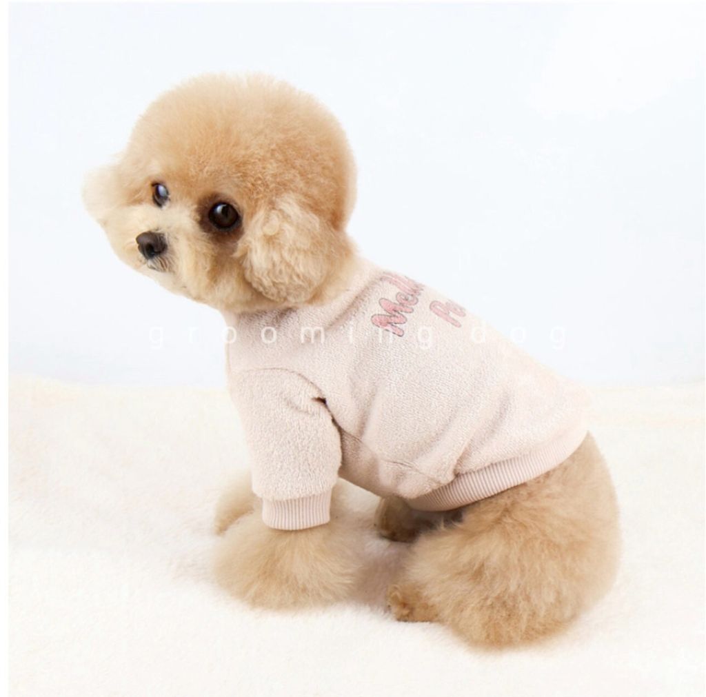 LINE_ALBUM_Grooming dog_251207_81