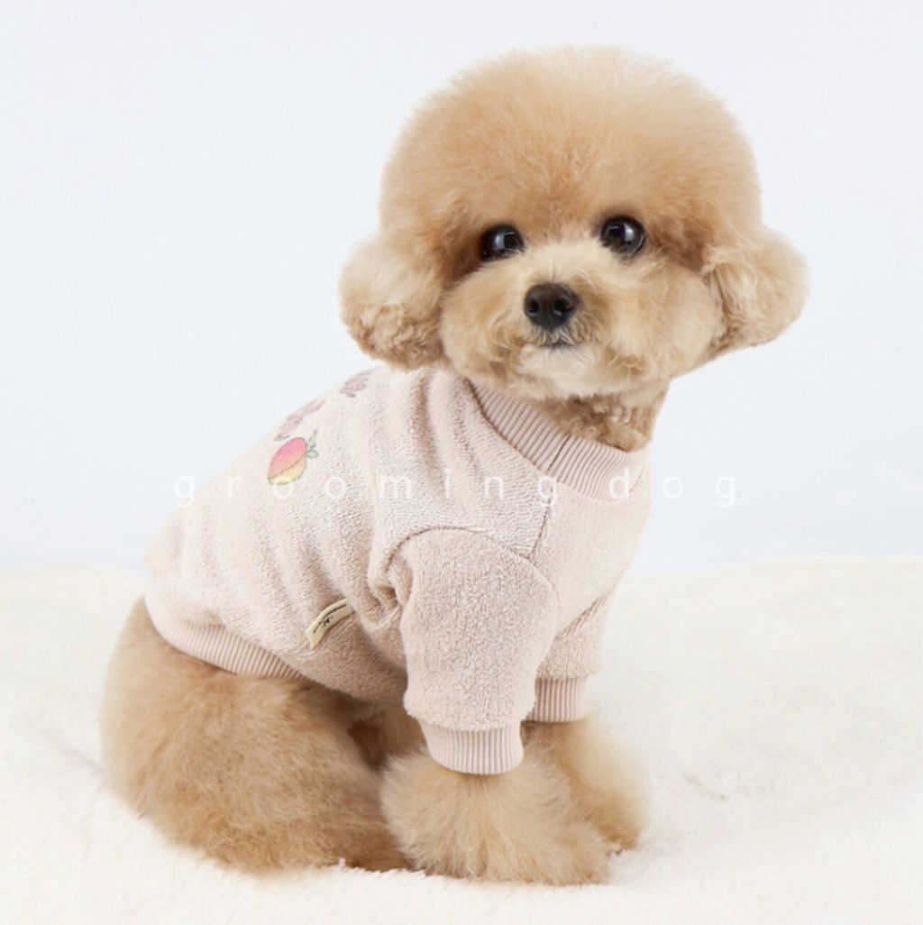 LINE_ALBUM_Grooming dog_251207_74