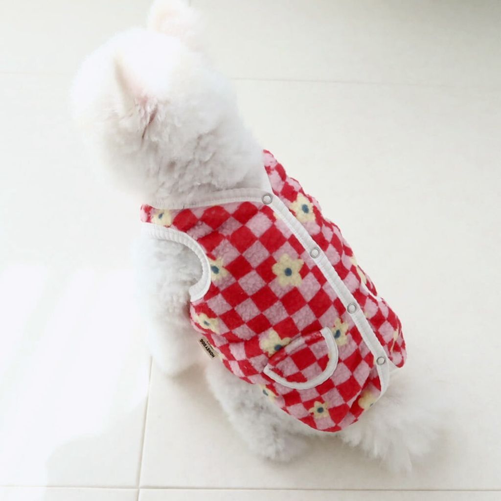 LINE_ALBUM_Honey dog 2_251214_16