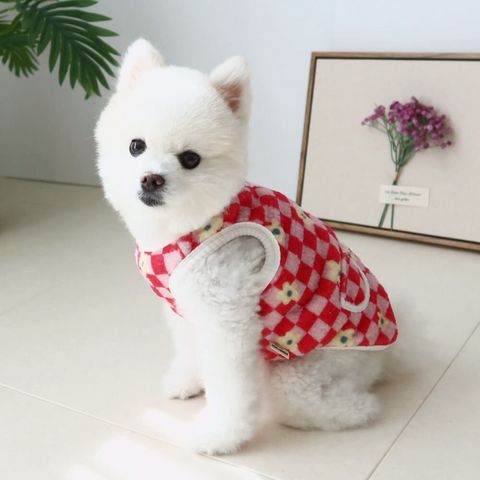 LINE_ALBUM_Honey dog 2_251214_17