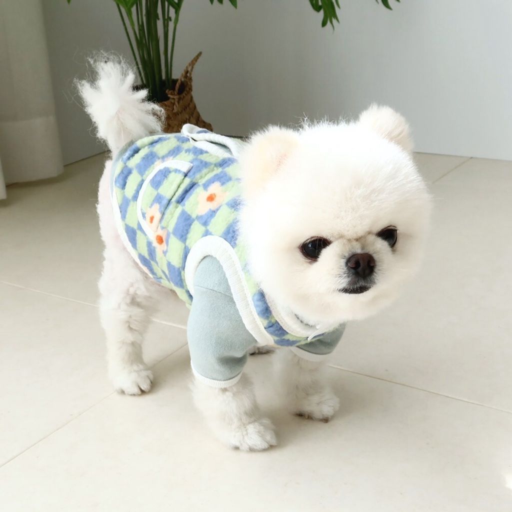 LINE_ALBUM_Honey dog 2_251214_15