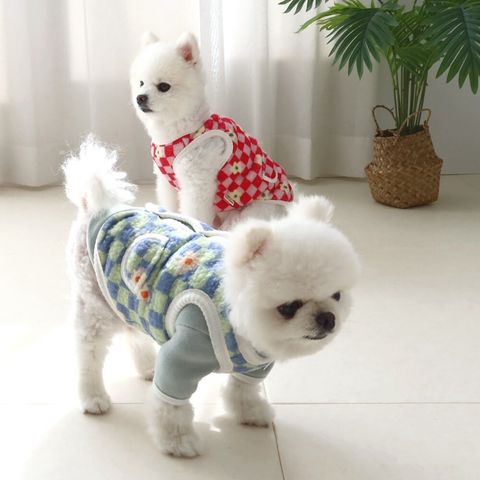 LINE_ALBUM_Honey dog 2_251214_14