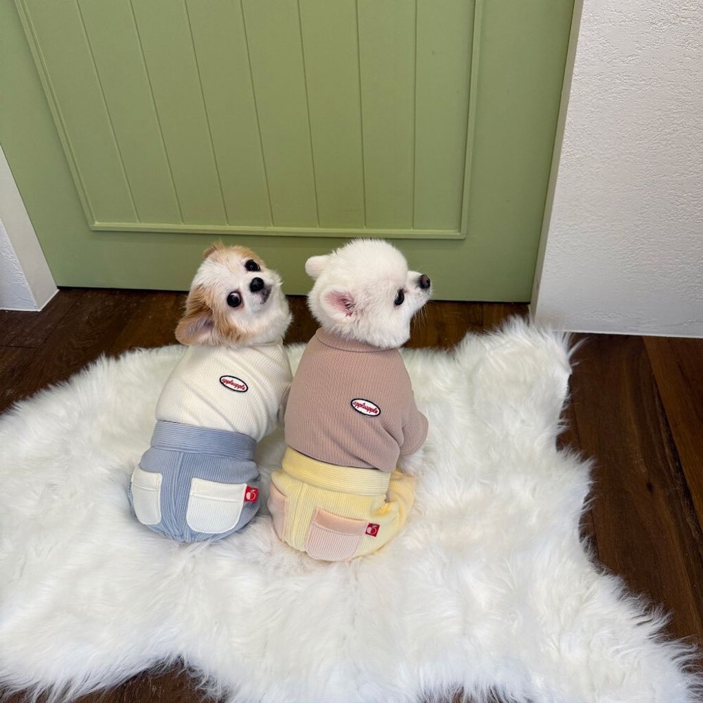 LINE_ALBUM_Appleapple_251215_10