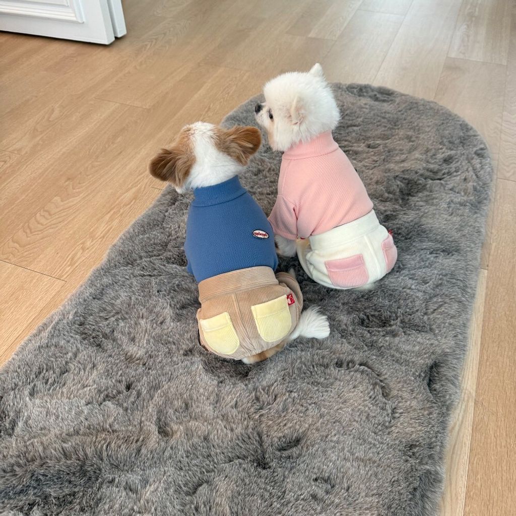 LINE_ALBUM_Appleapple_251215_11