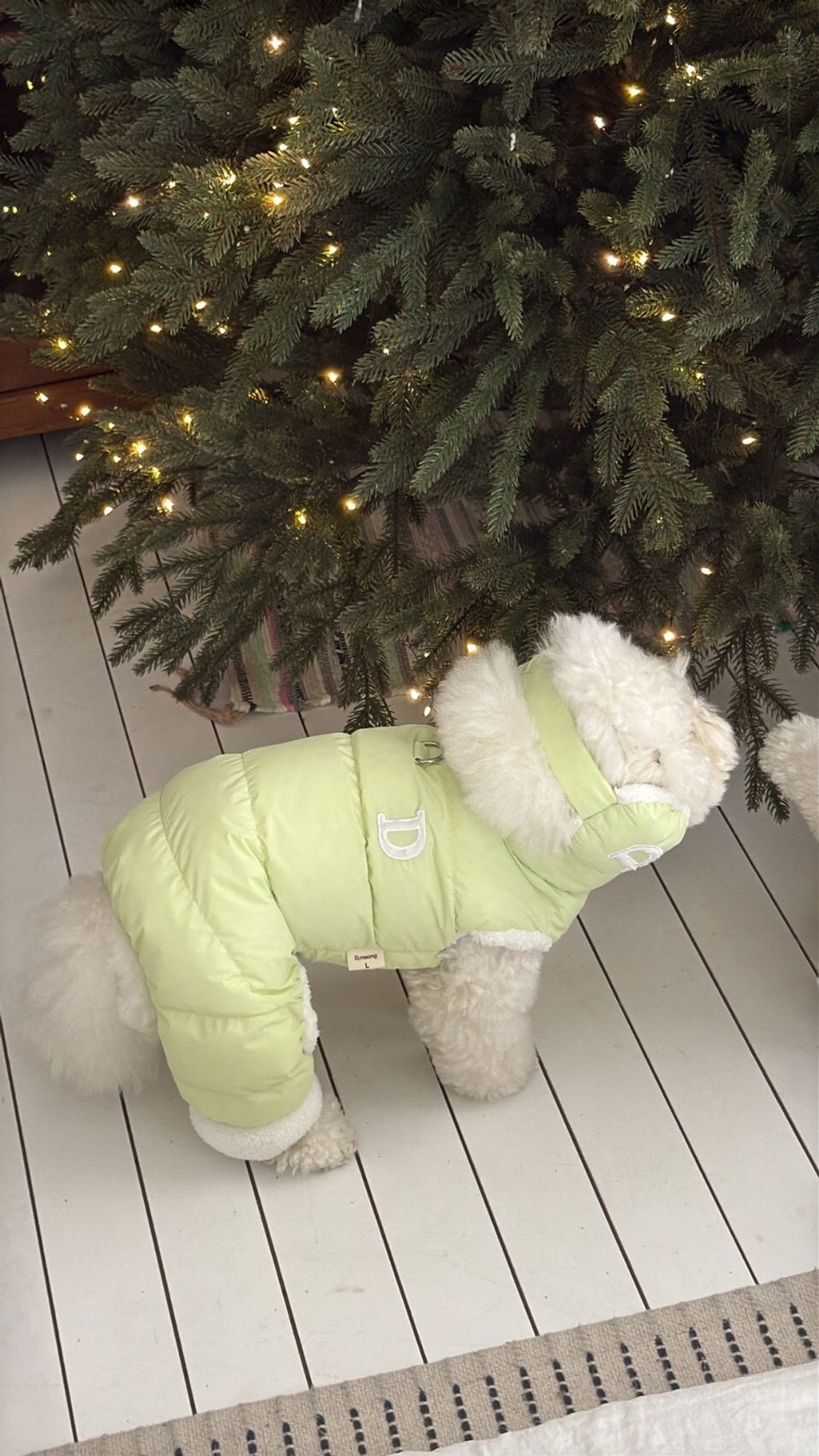 LINE_ALBUM_Doggyholic 3_251215_3