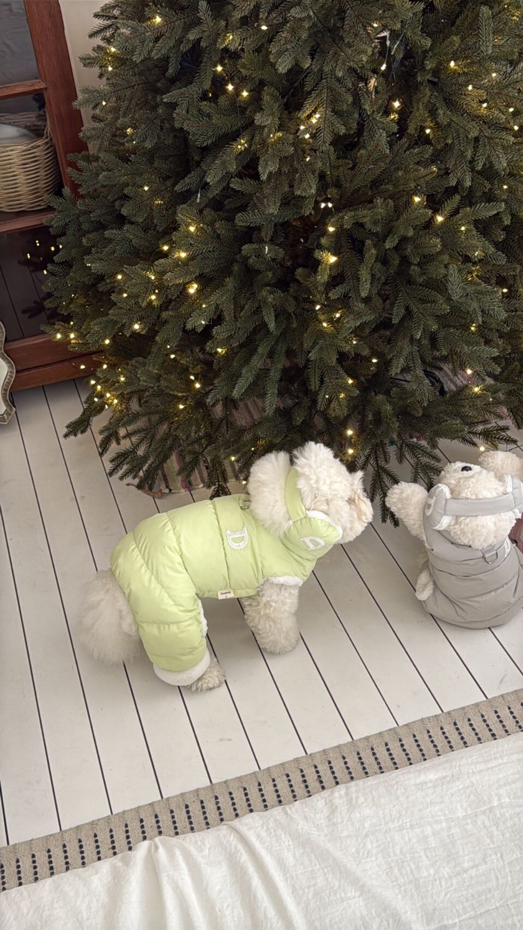 LINE_ALBUM_Doggyholic 3_251215_2