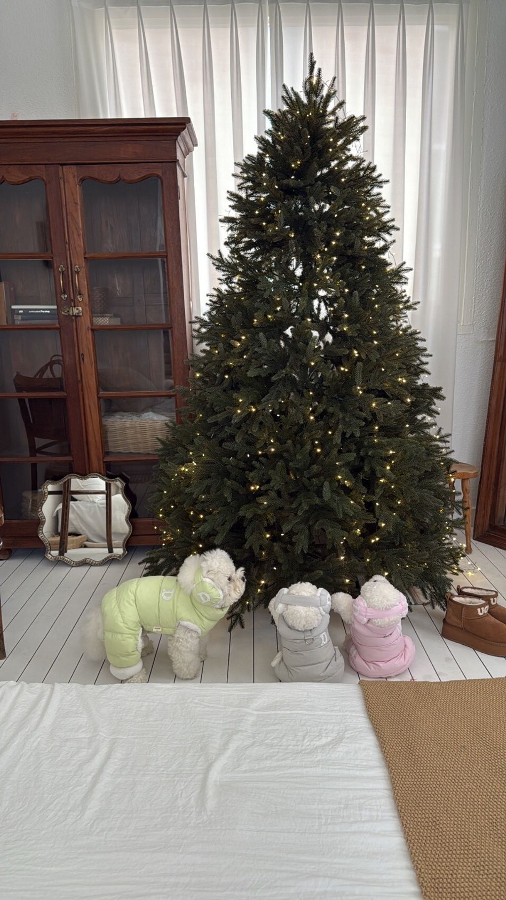 LINE_ALBUM_Doggyholic 3_251215_11