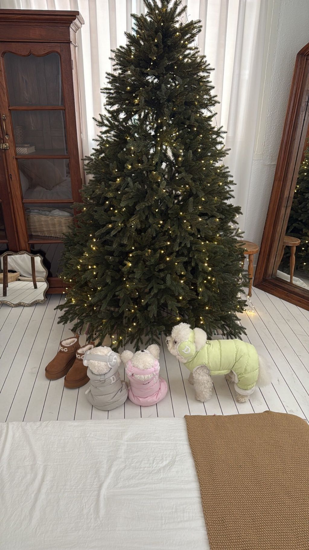 LINE_ALBUM_Doggyholic 3_251215_9