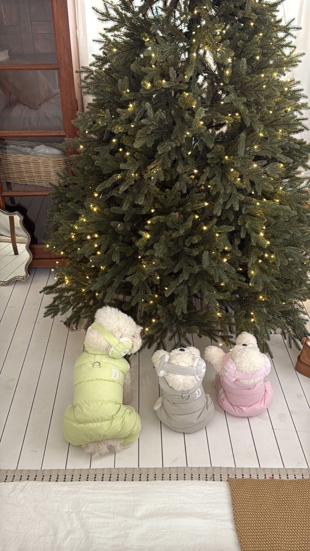 LINE_ALBUM_Doggyholic 3_251215_16