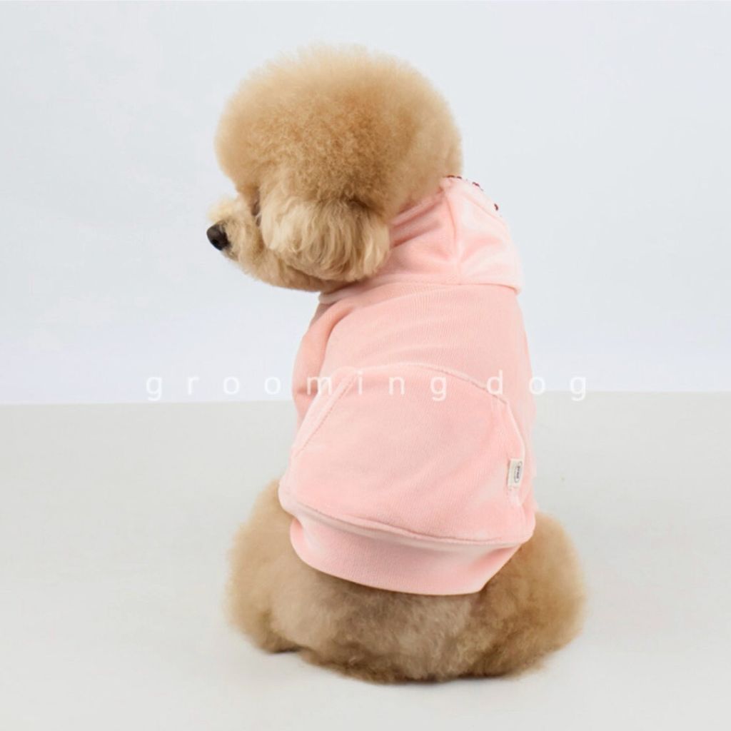 LINE_ALBUM_Grooming dog_251225_15