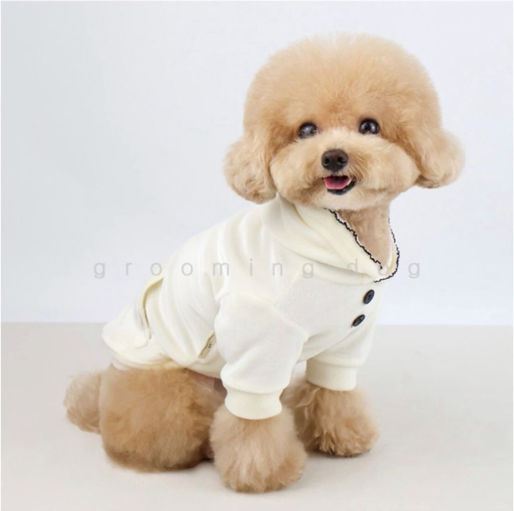 LINE_ALBUM_Grooming dog_251225_4