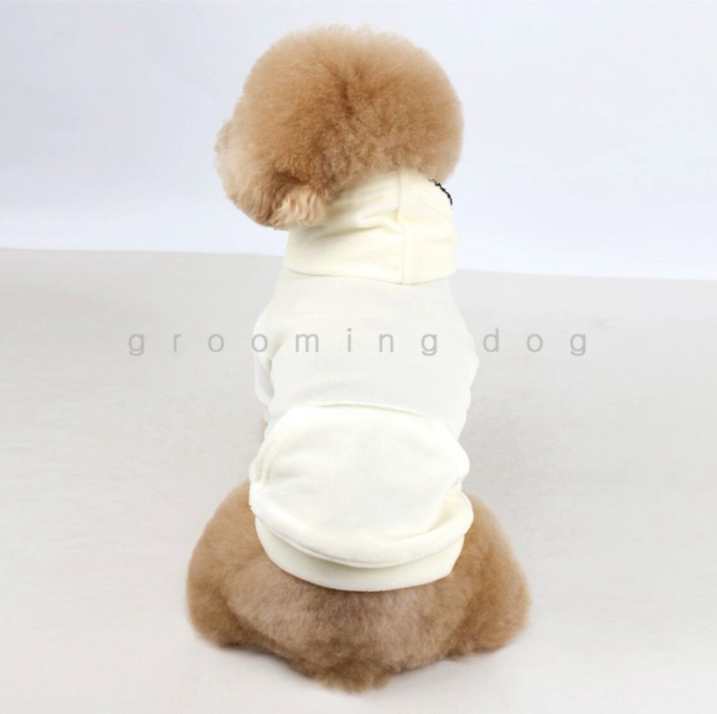 LINE_ALBUM_Grooming dog_251225_6