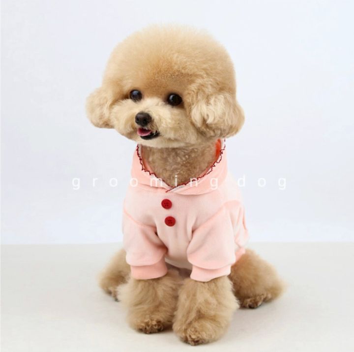 LINE_ALBUM_Grooming dog_251225_17