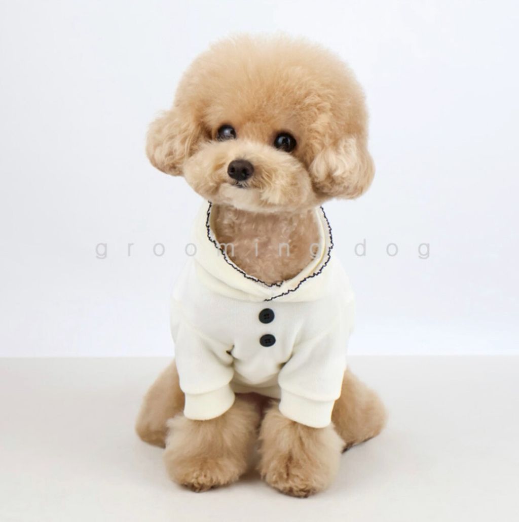 LINE_ALBUM_Grooming dog_251225_13