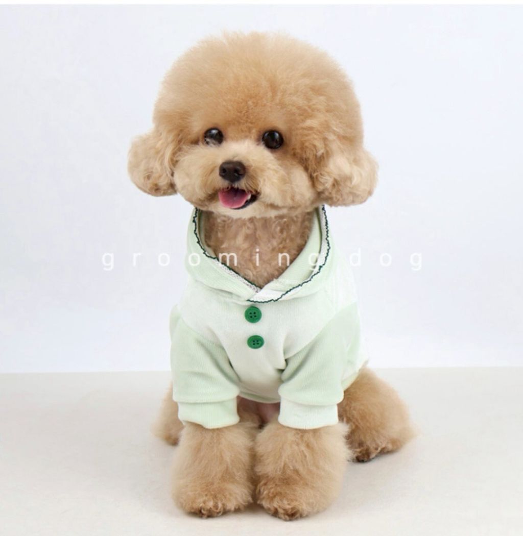 LINE_ALBUM_Grooming dog_251225_9