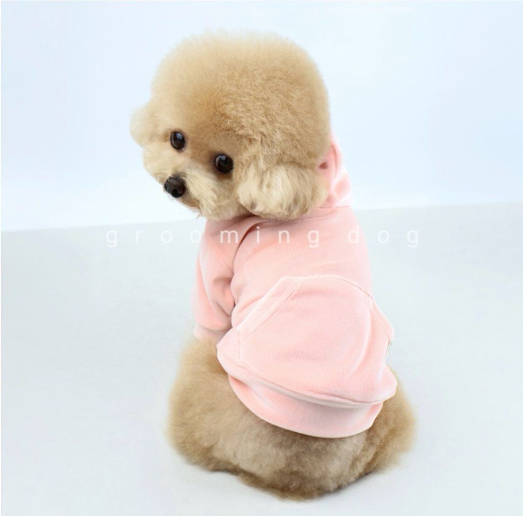 LINE_ALBUM_Grooming dog_251225_14