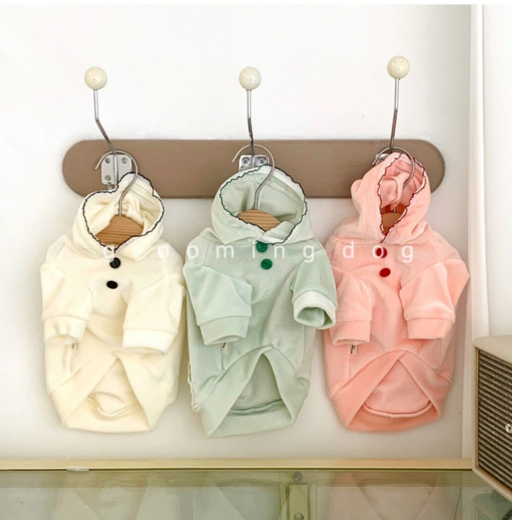 LINE_ALBUM_Grooming dog_251225_7