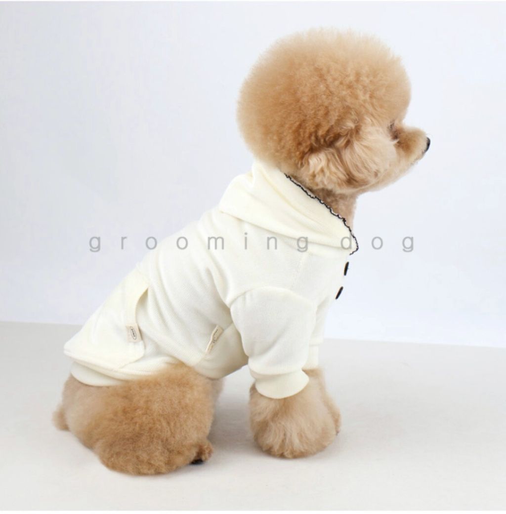 LINE_ALBUM_Grooming dog_251225_5