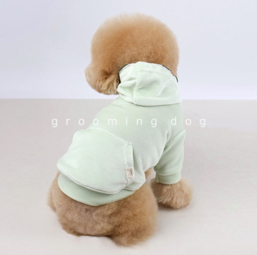 LINE_ALBUM_Grooming dog_251225_12