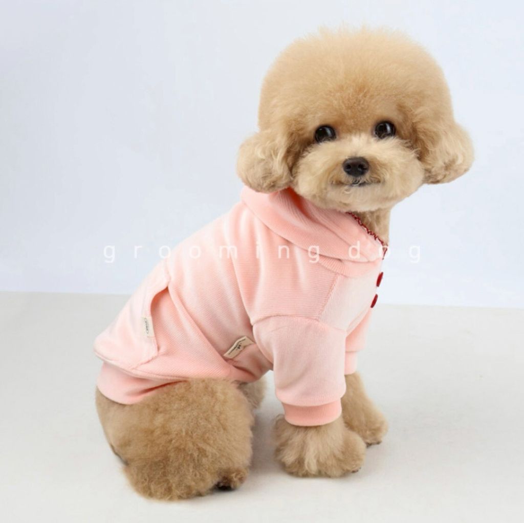 LINE_ALBUM_Grooming dog_251225_16