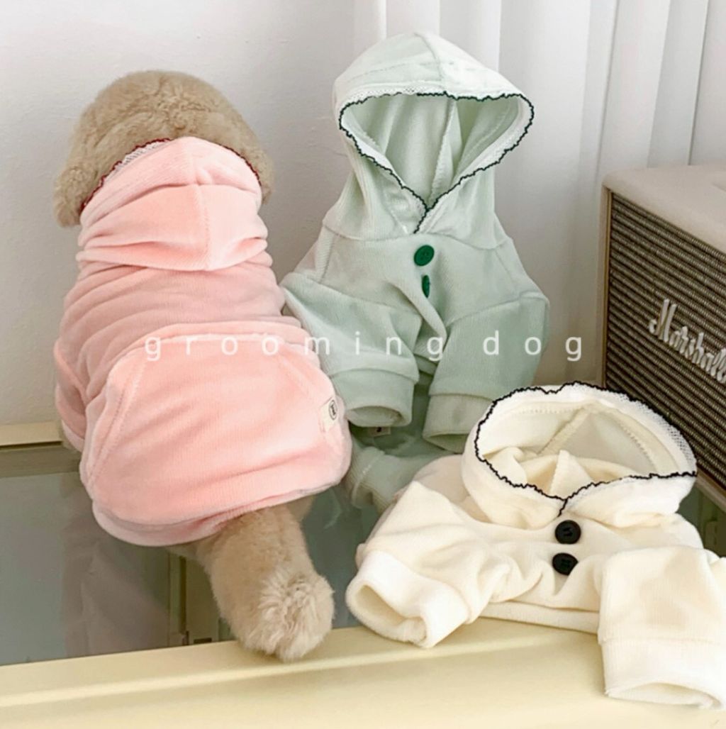 LINE_ALBUM_Grooming dog_251225_3