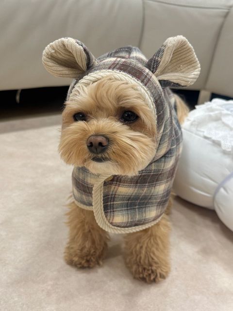 LINE_ALBUM_Zoobico 2_251225_29