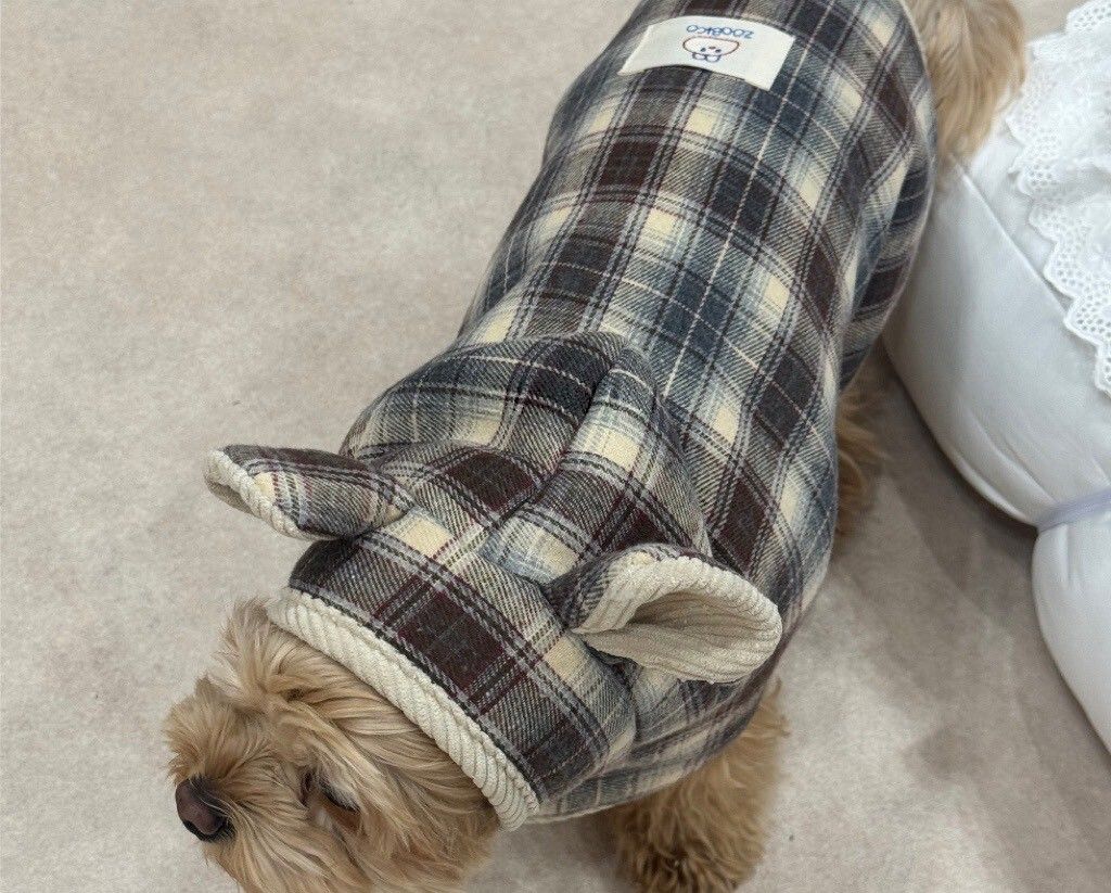 LINE_ALBUM_Zoobico 2_251225_18