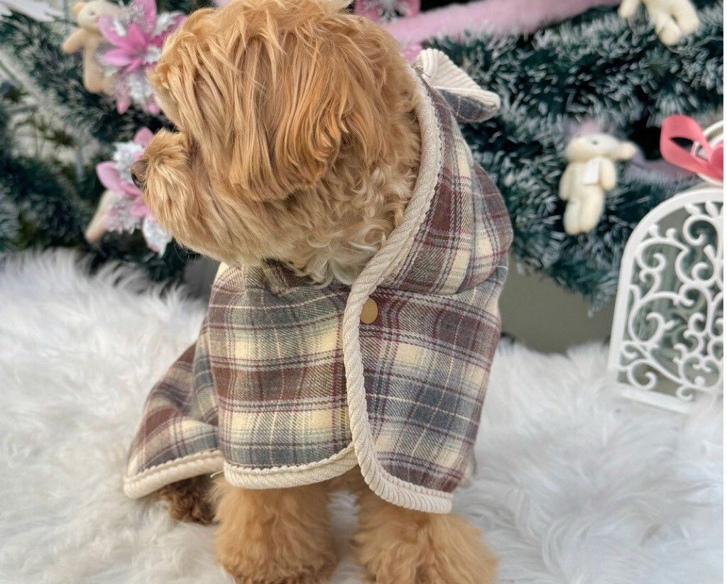 LINE_ALBUM_Zoobico 2_251225_16