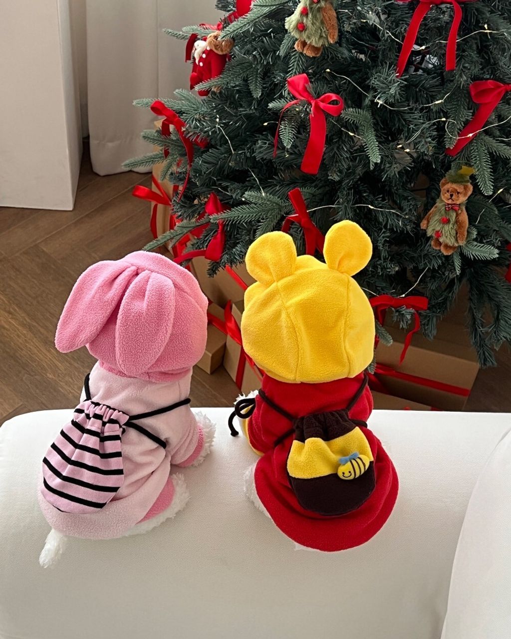 LINE_ALBUM_Petmood_251226_2