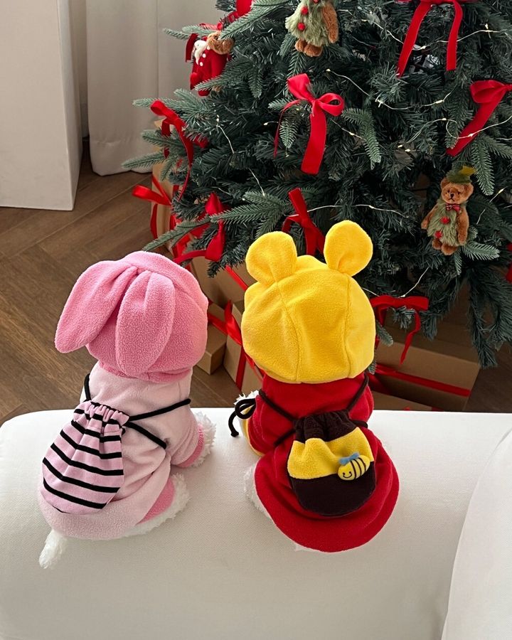 LINE_ALBUM_Petmood_251226_2