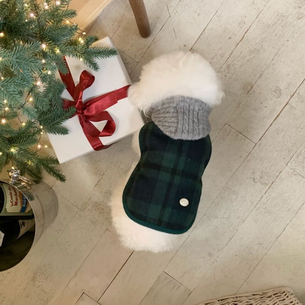 LINE_ALBUM_Doggyholic 3_251226_73