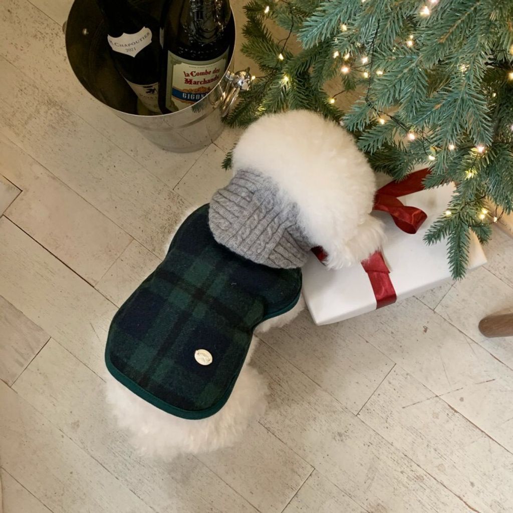 LINE_ALBUM_Doggyholic 3_251226_74