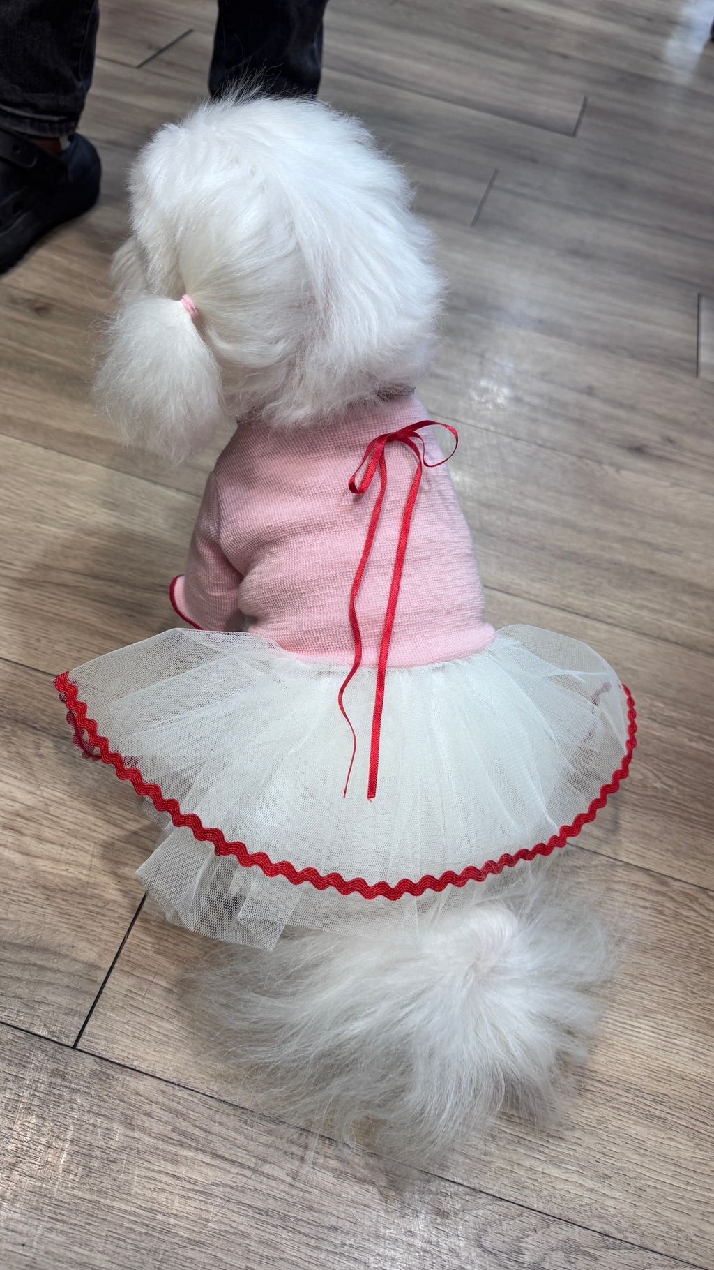 image_138405E3-3941-4EE2-80C9-5CBDDDF9CF35_1766819972