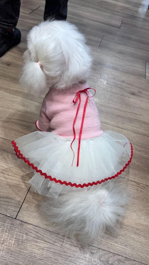 image_138405E3-3941-4EE2-80C9-5CBDDDF9CF35_1766819972