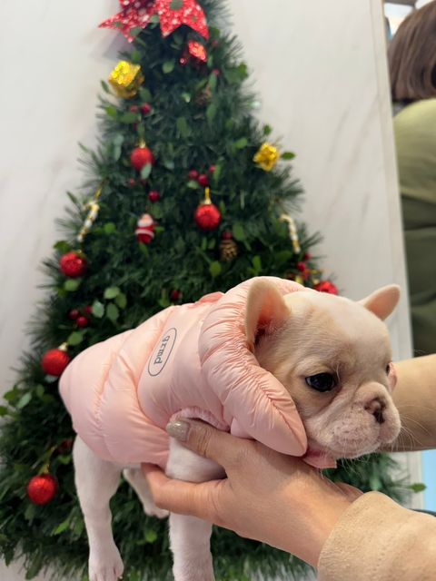 image_7FE674AE-1E21-4525-9AA8-B929EED485EF_1766821983