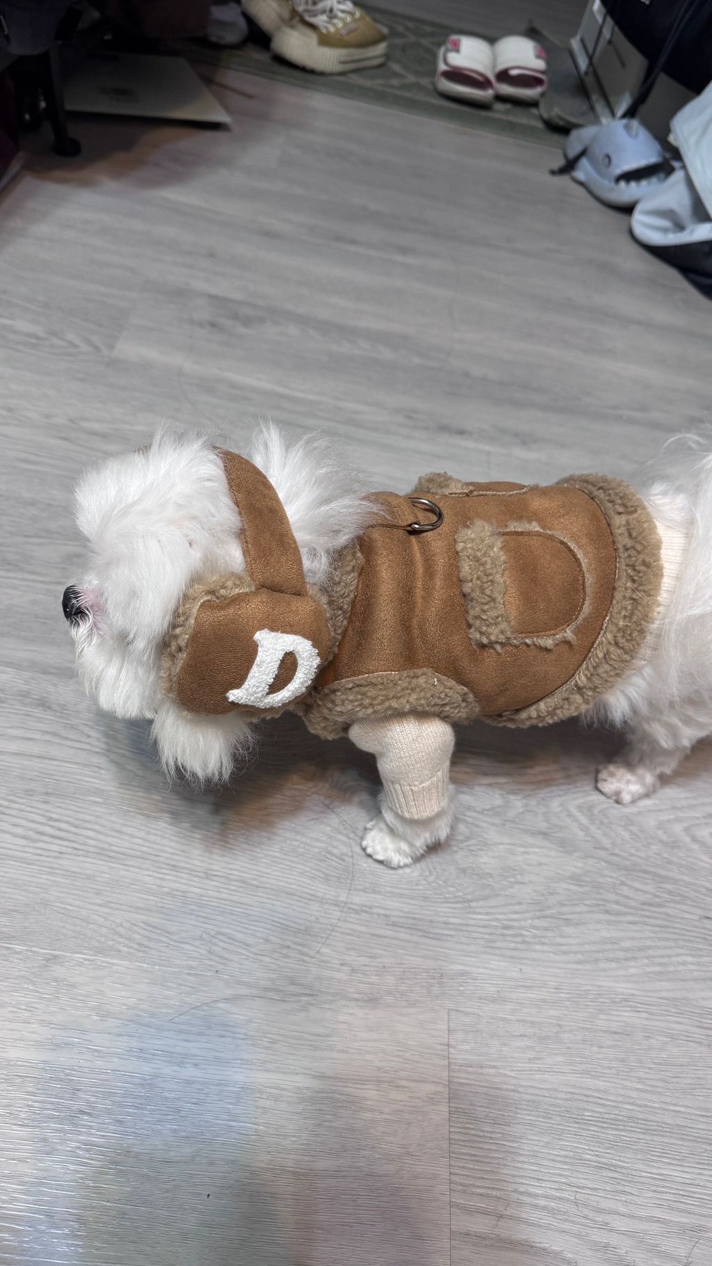 image_4764D791-244E-4312-8D5E-0C6278F4D6E4_1766822128