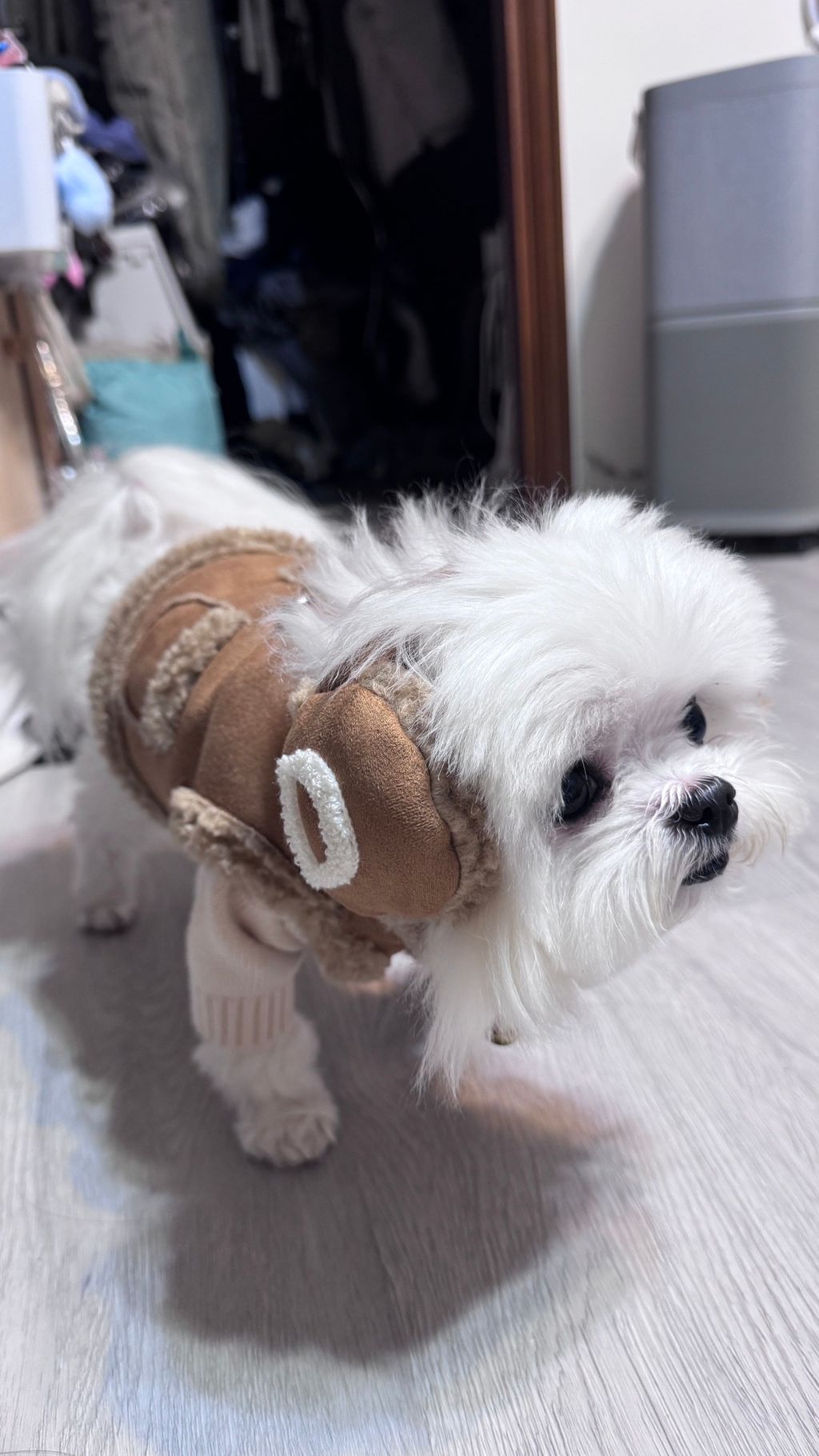 image_41146759-69B8-4FE1-B8CD-AF68ACA6C884_1766822128