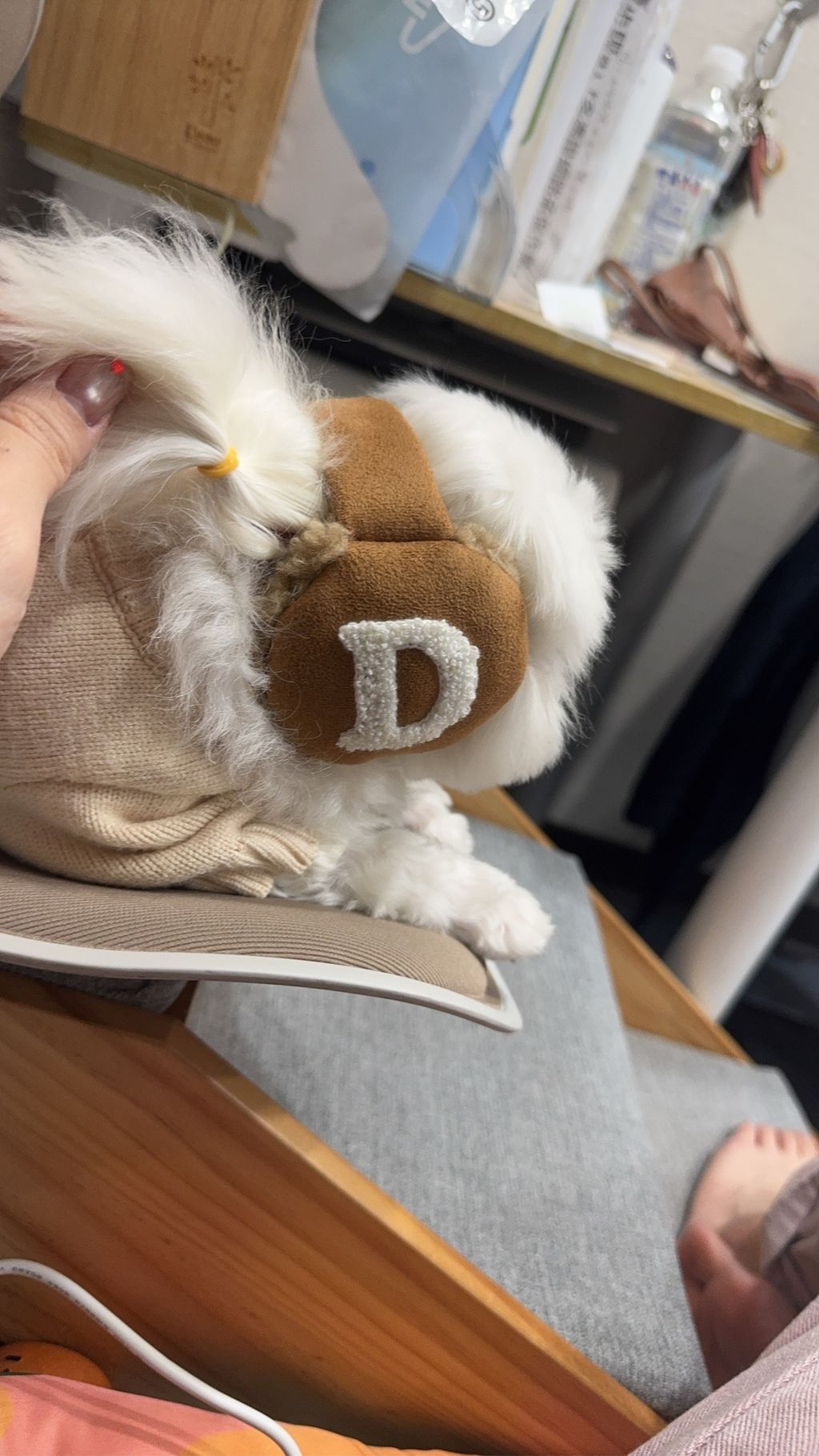 image_9D11793A-1B4A-4D6C-AAE9-679FA06B7DBA_1766822219