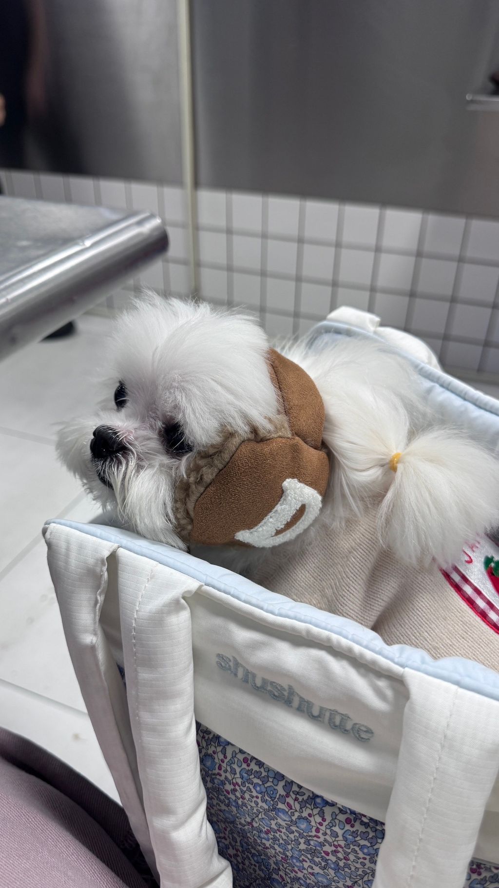 image_9E855E6B-14E2-4005-B9EE-ADFFEE3CDA1C_1766822219