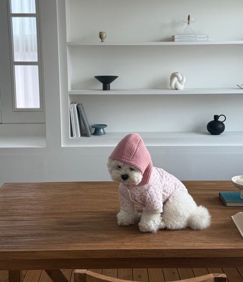 LINE_ALBUM_Doggyholic 3_260108_27