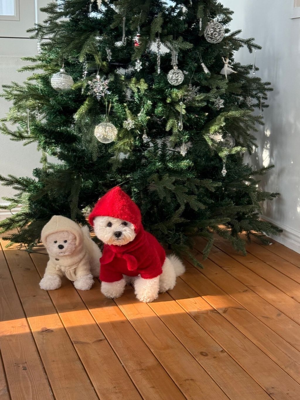 LINE_ALBUM_Doggyholic 3_260108_5