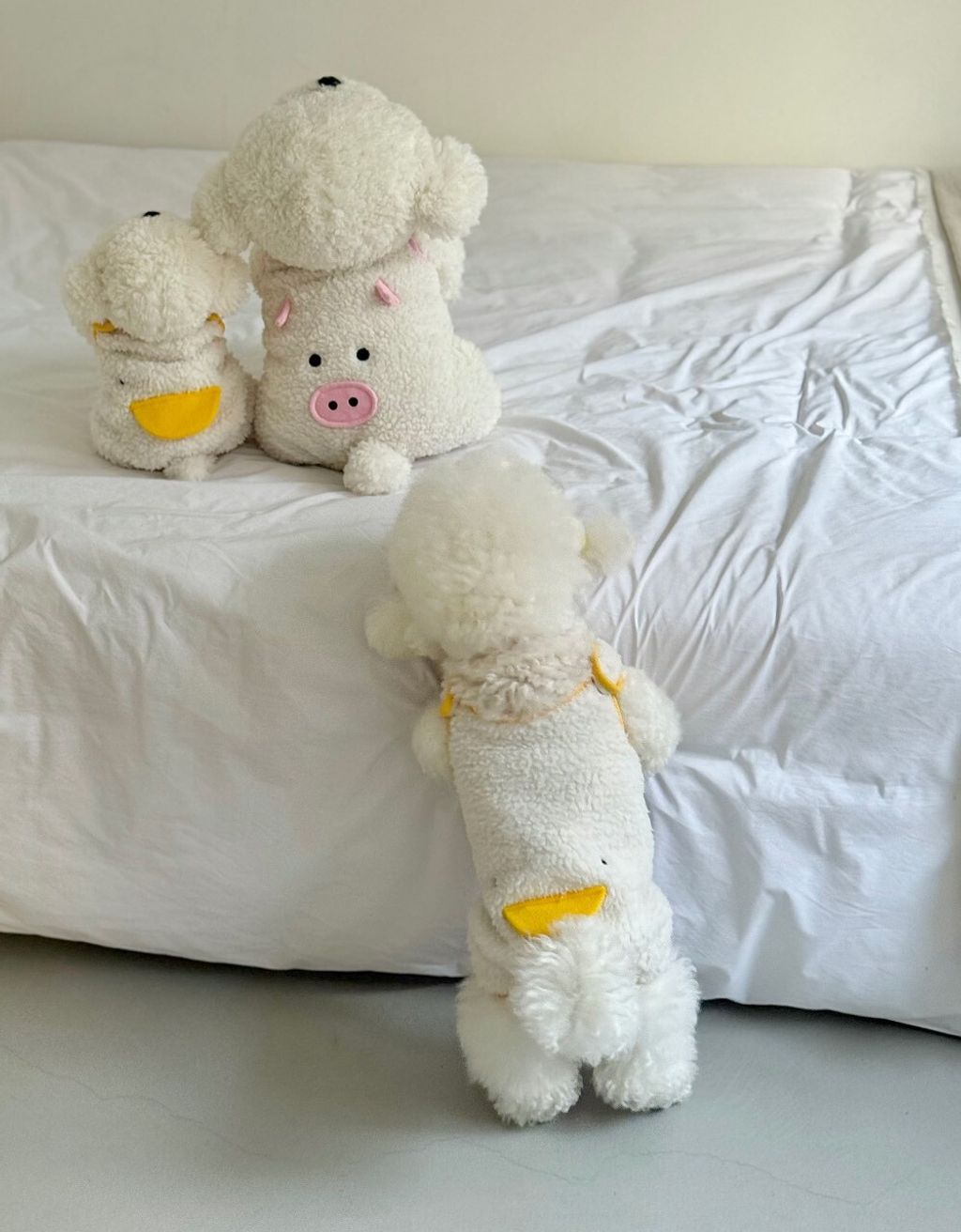 LINE_ALBUM_Doggyholic 3_260114_146