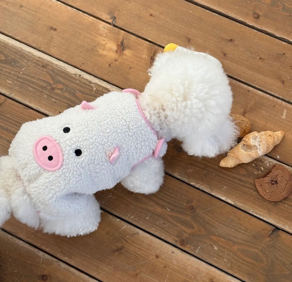 LINE_ALBUM_Doggyholic 3_260114_136