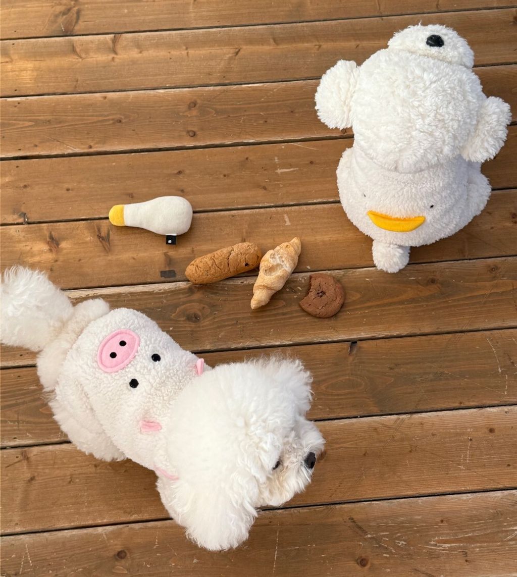 LINE_ALBUM_Doggyholic 3_260114_139