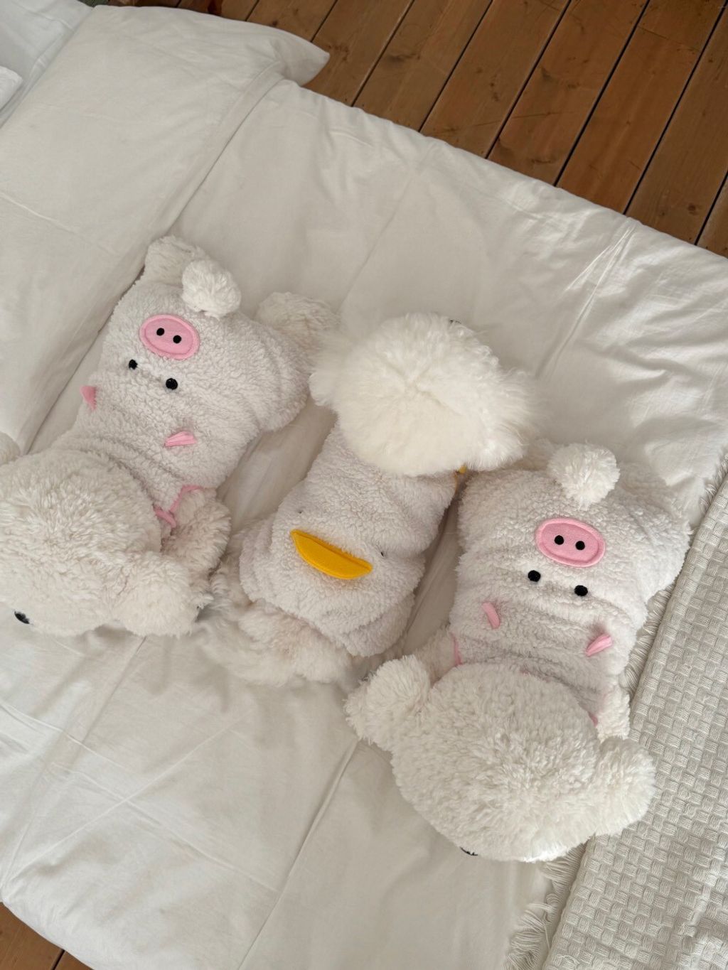 LINE_ALBUM_Doggyholic 3_260114_134