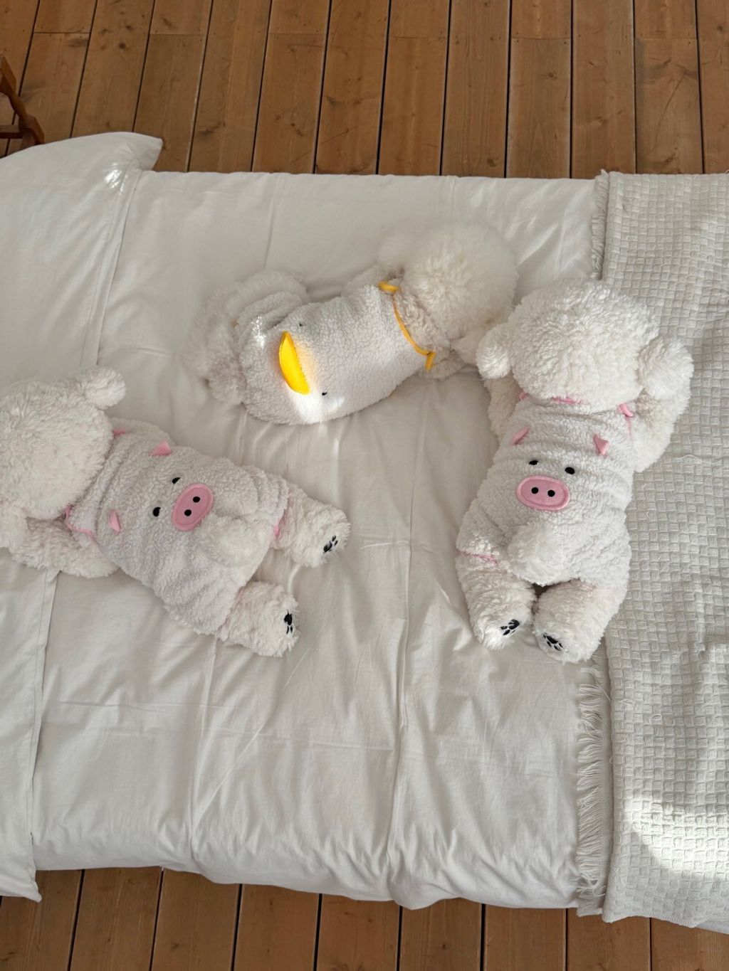 LINE_ALBUM_Doggyholic 3_260114_132